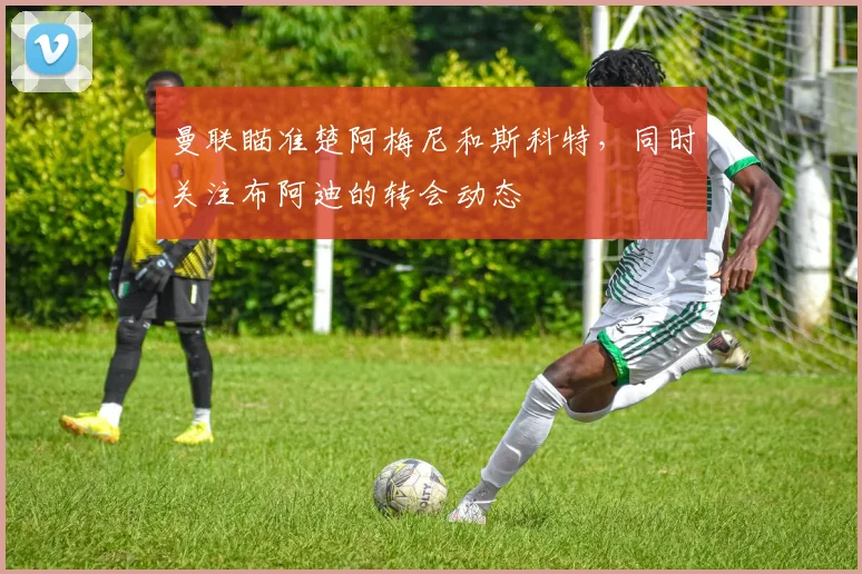 曼联瞄准楚阿梅尼和斯科特，同时关注布阿迪的转会动态